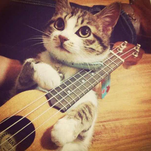 秘书呻吟H浪货趴
